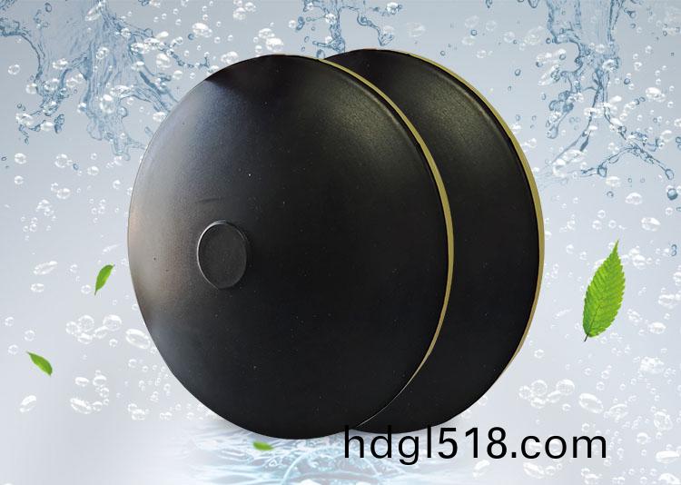 BPB薄(bao)盤(pan)型(xing)盤式曝(pu)氣(qi)器