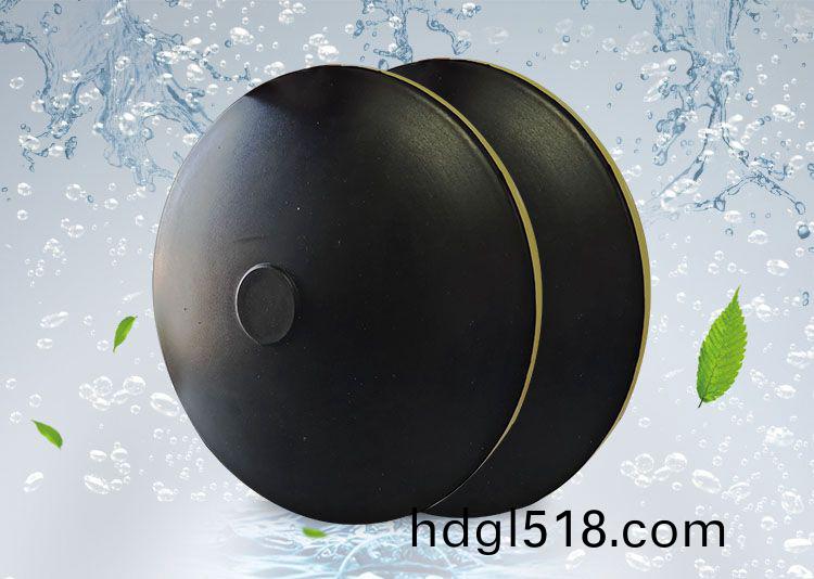 BPB薄(bao)盤型盤式曝(pu)氣器